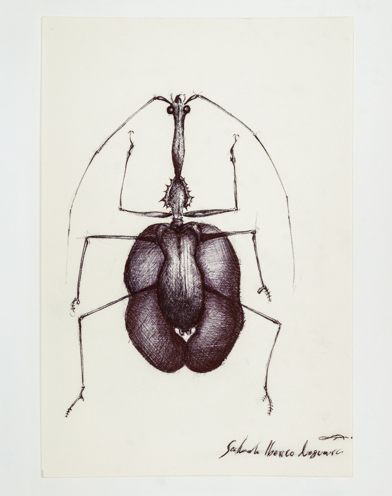 Insects 0.2