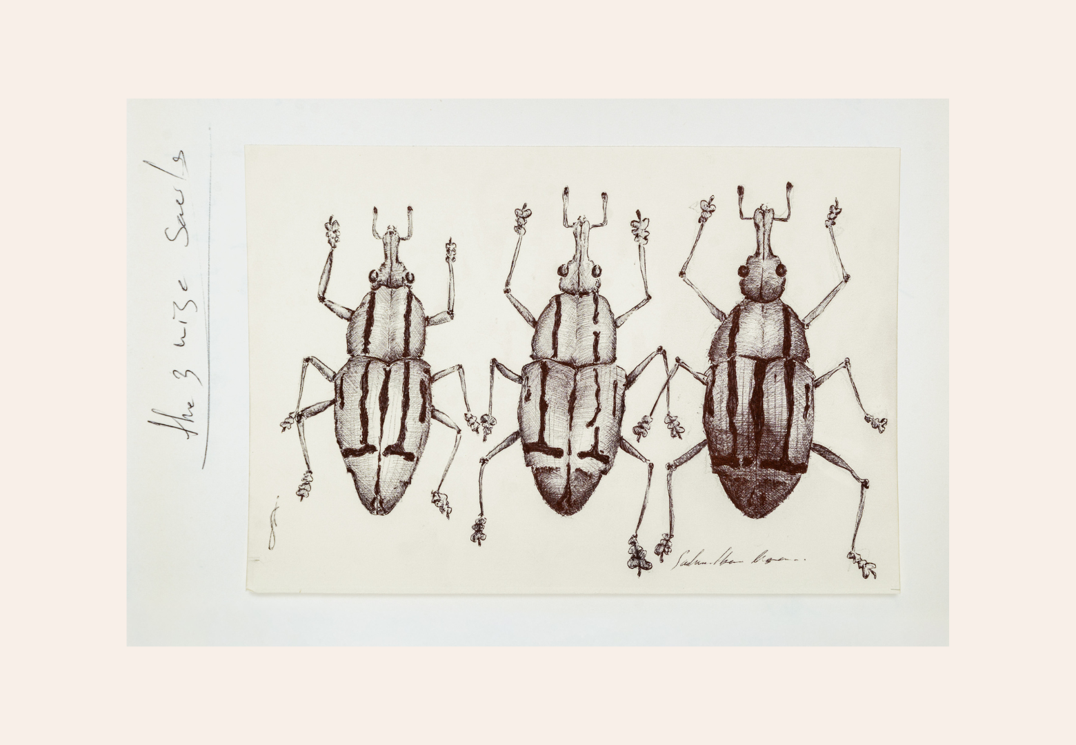 Insects 0.3