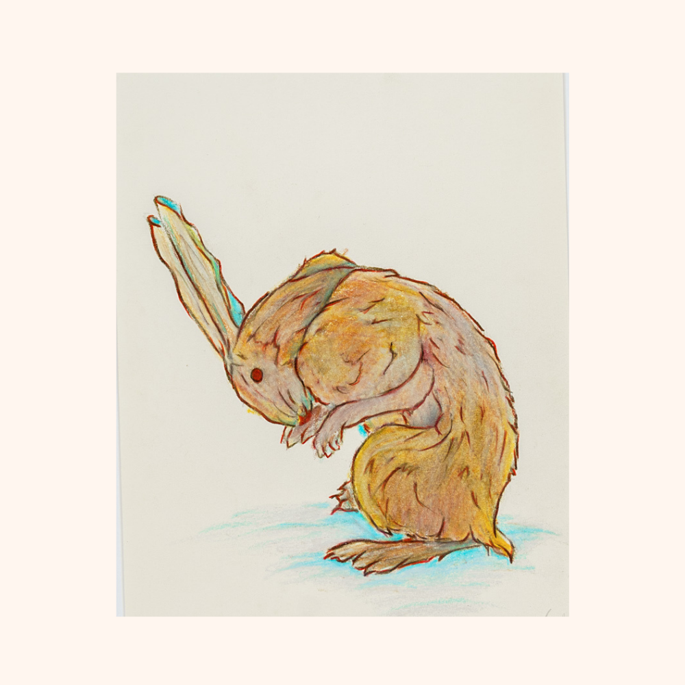 Small Bestiary