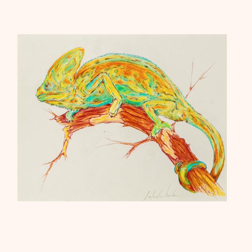 Small Bestiary — view 2