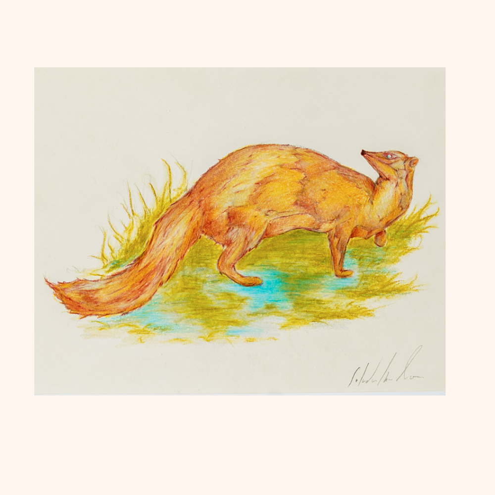 Small Bestiary — view 3